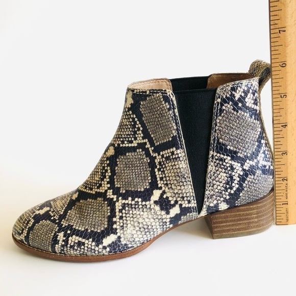Madewell The Carina Snakeprint Chelsea Booties - Picture 13 of 16
